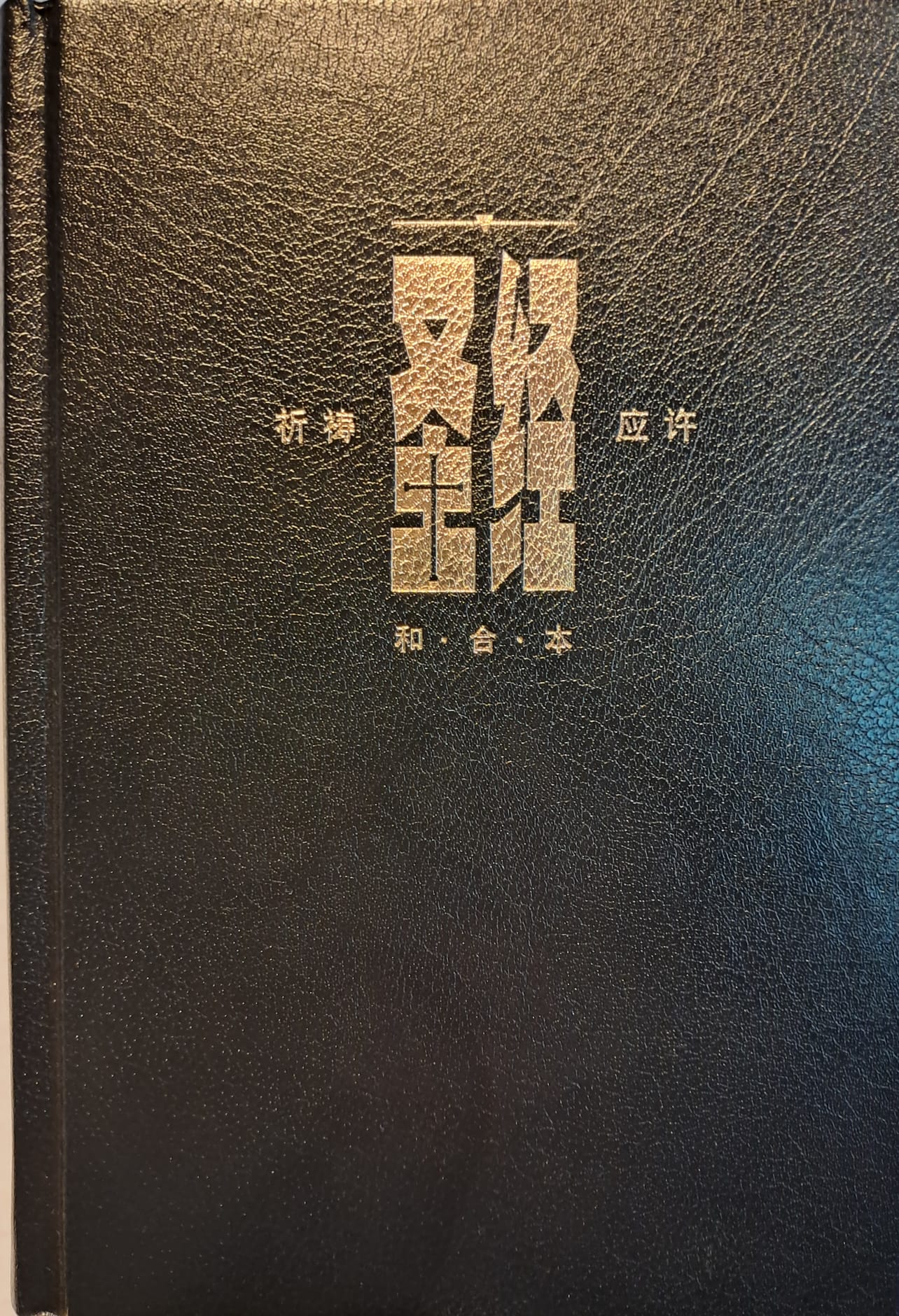 Prayer&Promise Bible Hardcover